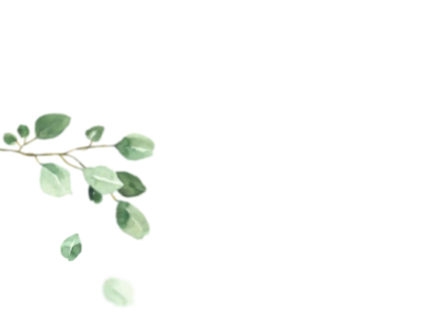 branch